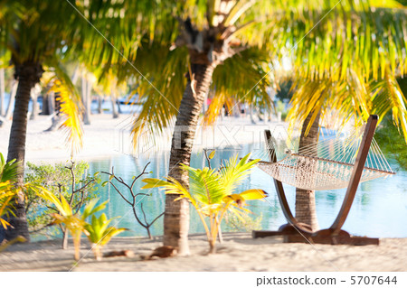 Hammock on the beach Hammock on the beach 5707644