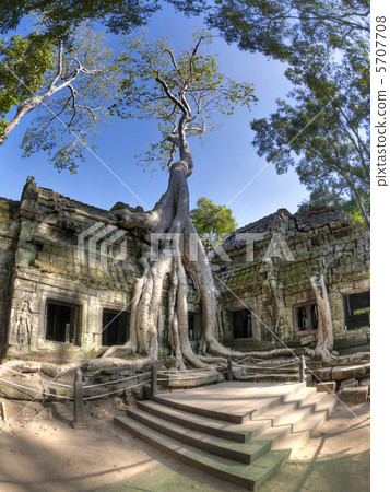 Ta Prohm 5707708