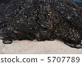 Fishing net of aquaculture fish with deposits 5707789