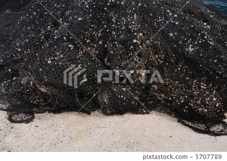 Fishing net of aquaculture fish with deposits 5707789