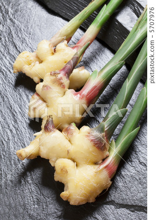 Leaf ginger Leaf ginger 5707976