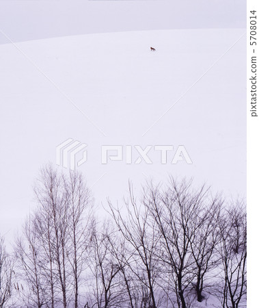 可怕的冬天山 可怕的冬天山 5708014