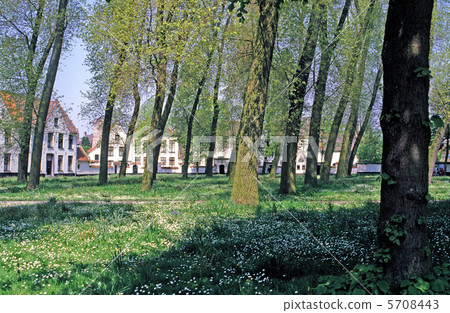 佛蘭芒修道院 5708443