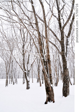 Winter scenery 5708716