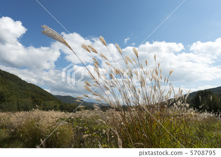 Highland Susuki 5708795