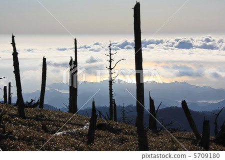 小田原 小田原 5709180