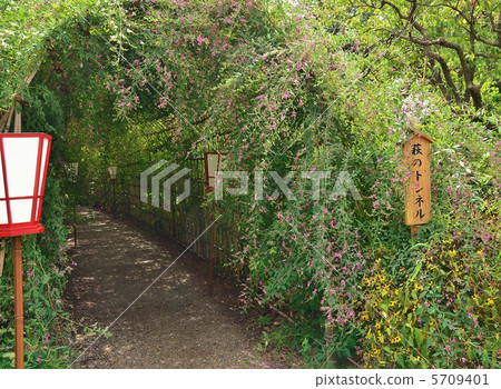 百花園 百花園 5709401