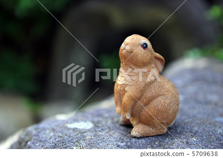 Cute little rabbit doll Cute little rabbit doll 5709638