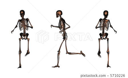 Human body Human body 5710226