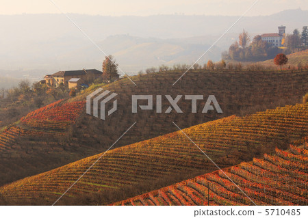 Hills and vineyards at fall. Piedmont, Northern Italy. Hills and vineyards at fall. Piedmont, Northern Italy. 5710485