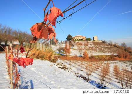 Snowy hills of Piedmont. Snowy hills of Piedmont. 5710488
