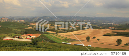 Panoramic view on vineyards and fields in Italy. Panoramic view on vineyards and fields in Italy. 5710489
