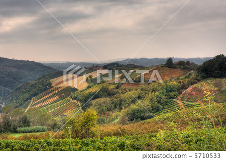 Hills and vineyards at fall. Piedmont, Northern Italy. 5710533