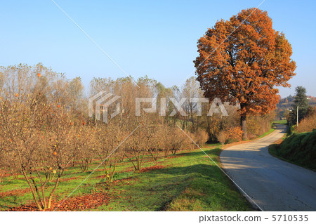Fall in Piedmont. 5710535