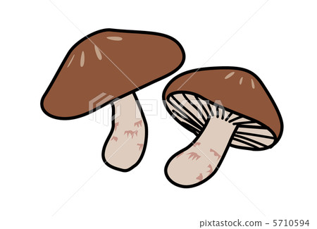 香菇 5710594