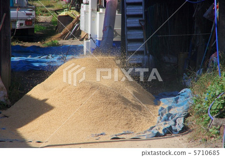 米咬的米燈泡工作 米咬的米燈泡工作 5710685