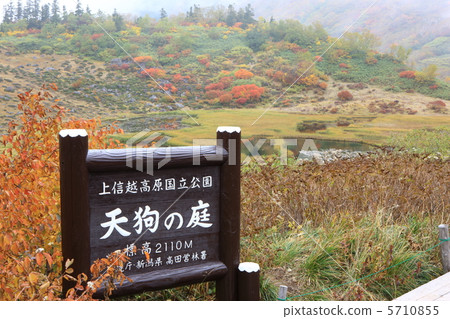 天狗花園 5710855