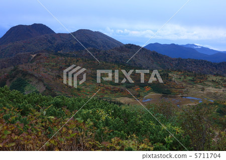 天狗花園 5711704