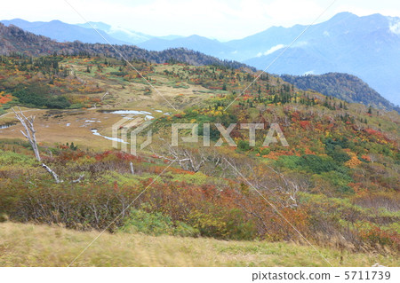 天狗花園 5711739