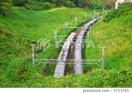 Trains in the green 5713765