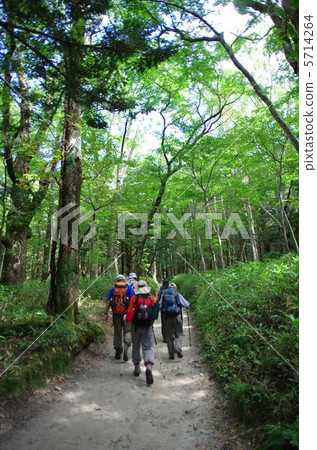 Kamikochi的長廊和徒步旅行者 5714264