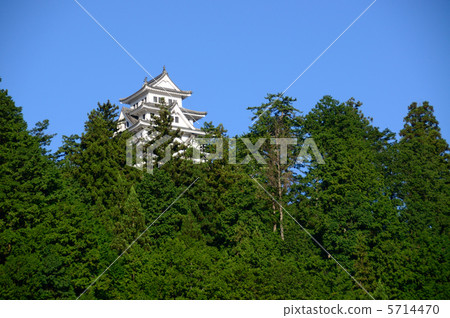 岐阜郡八幡城 5714470