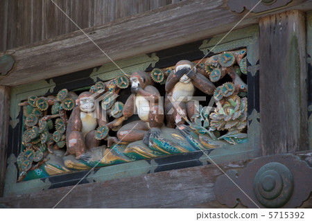 Three monkeys Three monkeys 5715392