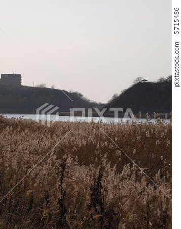 Autumn Spring Harbor Lake 5715486