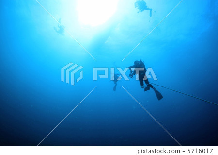 潛水員浮出水面 5716017