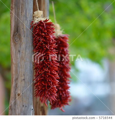 Red chili lister Red chili lister 5716544