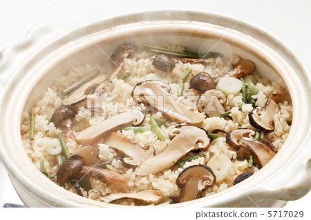 Matsutake mushrooms Matsutake mushrooms 5717029