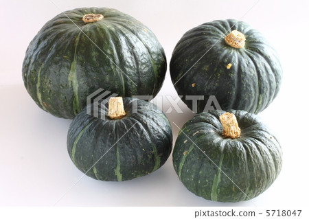 Pumpkin Pumpkin 5718047