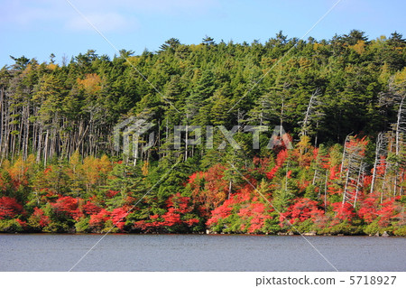 Kinshu的Shirakawa池塘 5718927