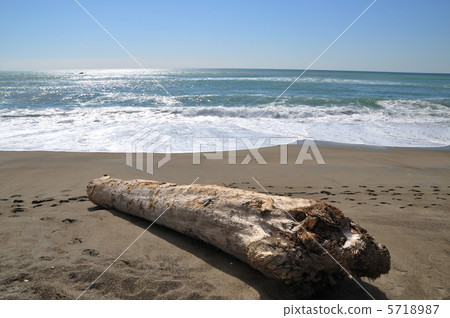 Driftwood Driftwood 5718987