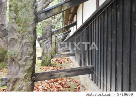 [100 Famous Castles in Japan] [Special Historic Site] Kumamoto Castle, Nagano Fence 2, an important cultural property, Chuo Ward, Kumamoto City, Kumamoto Prefecture 5719609
