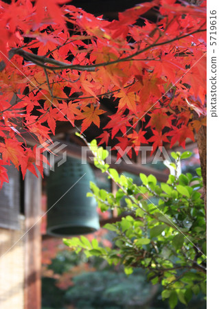 Kinpukuji Kinpukuji 5719616