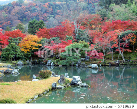 天龍寺花園Nakanishi深秋紅葉日本秋天秋葉黃葉 5719629