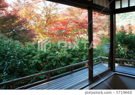 作者Rurikoin Yase Rakusan深秋紅葉日本秋天秋葉黃葉 5719668