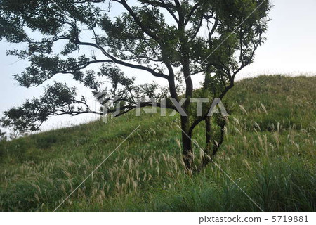 [阿蘇九州國家公園]秋季高原早晨熊本縣阿蘇區南小國町 5719881