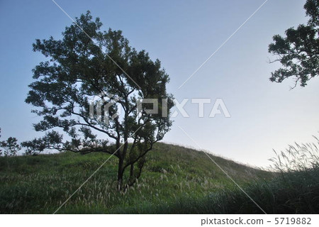 [阿蘇九州國家公園]熊本縣阿蘇區南小國町秋天的早晨高原 5719882