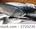 Salmon 2 5720236
