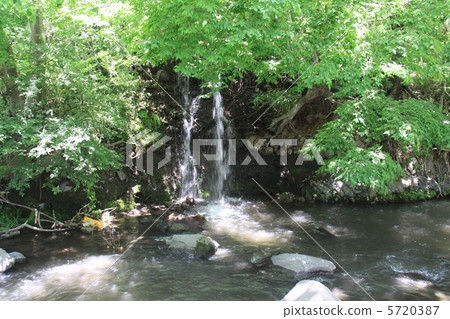 Kiyosato的清除電流 5720387