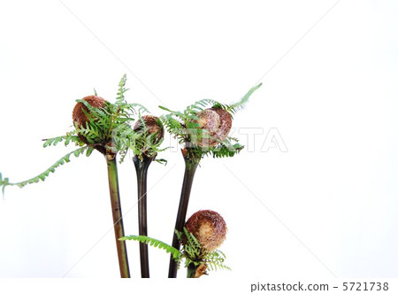 收斂背景材料·風水·橫位 5721738