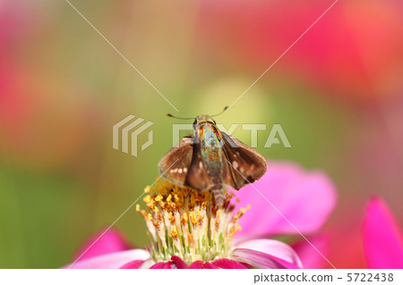 Ichimon dieselis在你身後 5722438