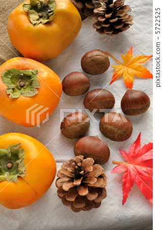 秋天的食物 5722525