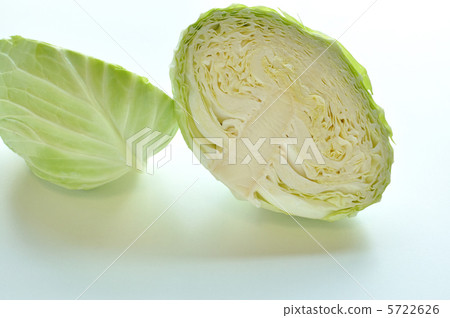 捲心菜 5722626