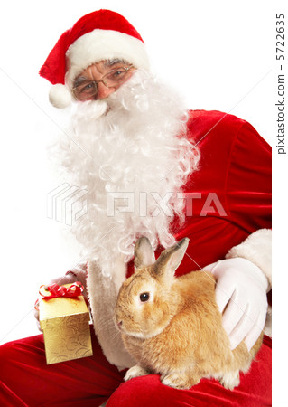 Year of rabbit Year of rabbit 5722635