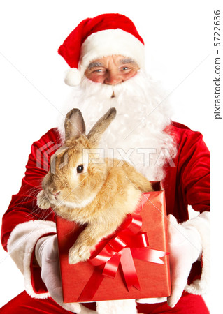 Santa with cute bunny 5722636