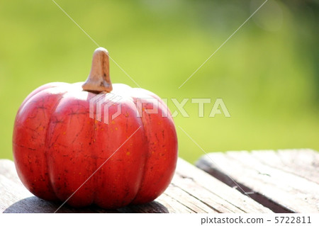 南瓜 南瓜 5722811