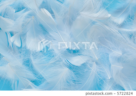 White feathers 5722824